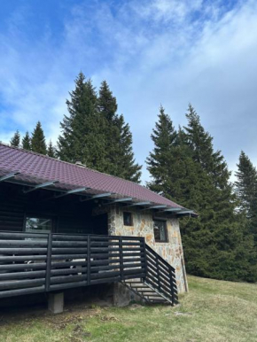 Apartma Tisa